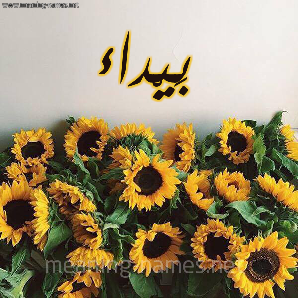 شكل 17 صوره دوار الشمس للإسم بخط رقعة