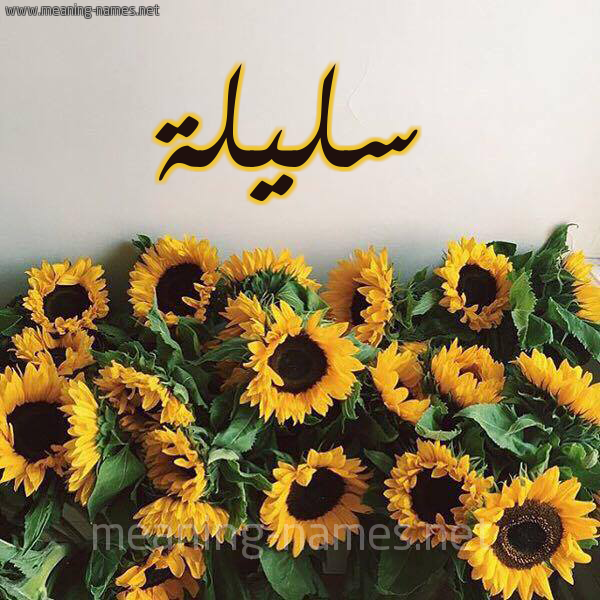 شكل 17 صوره دوار الشمس للإسم بخط رقعة