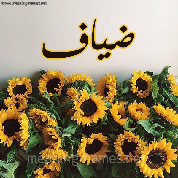 شكل 17 صوره دوار الشمس للإسم بخط رقعة