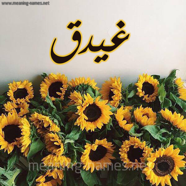 شكل 17 صوره دوار الشمس للإسم بخط رقعة