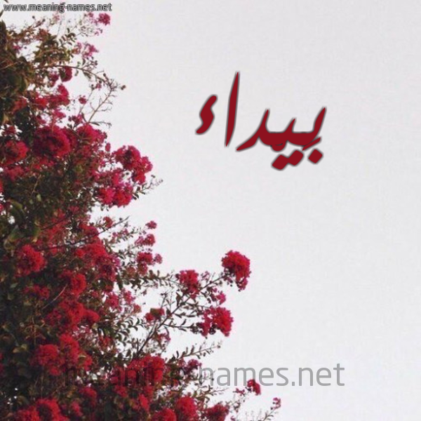 شكل 18 صوره الورد الأحمر للإسم بخط رقعة