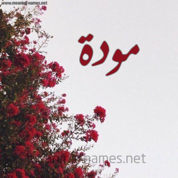 شكل 18 صوره الورد الأحمر للإسم بخط رقعة